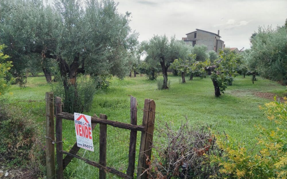 TERRENO EDIFICABILE – CONTRADA PIRO’